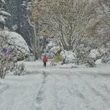 Mike Hubbard - Snowing in Golden Avenue