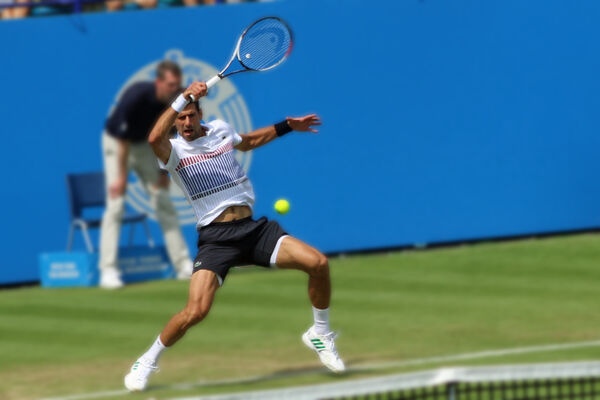 Novak