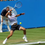 Novak