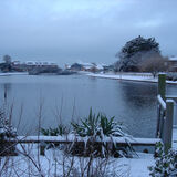 Peter Dunlop - Mewsbrook Park