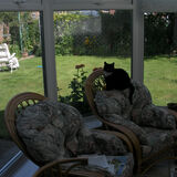 Peter Dunlop - My Back Garden