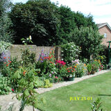 Peter Dunlop - My Garden 1