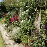 Peter Dunlop - My Garden 2