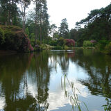 Peter Dunlop - Reflections Three
