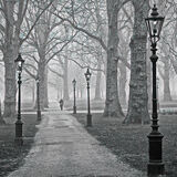 Peter Farrelly - Foggy Walk Amongst the Trees - 2nd (8 votes)