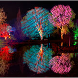 Peter Farrelly - Trees at Wisley