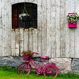 Pink Bike