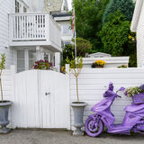 Purple Bike