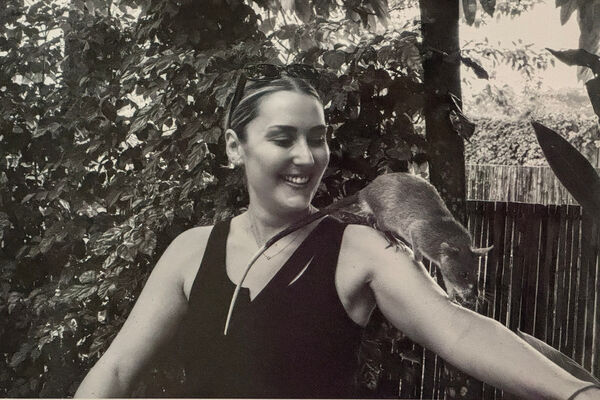 Rat Training, Cambodia