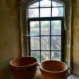Richard Perry - Through the Window of the Apple Store at Parham