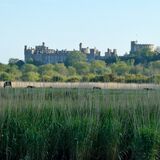 Richard Perry - Arundel Castle from the Black Rabbit