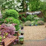 Richard Perry - My Kent Garden May 2006