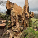 Nature can Take Away