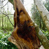 Richard Perry - Tree Sculpture at Pashley Manor Gardens