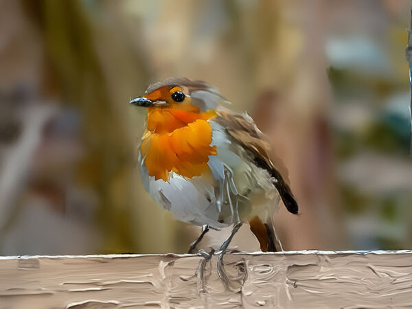 Robin oil painting