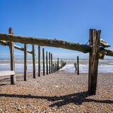 Rod Armstrong - Old groyne timbers