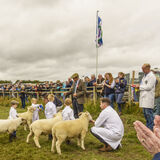 Rod Armstrong - Young Champion, Exford Show