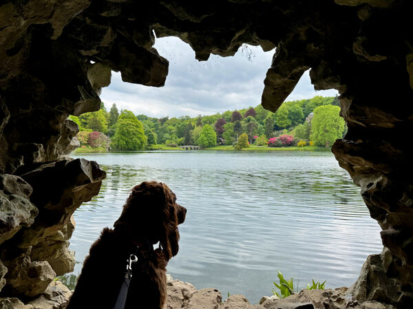 Sheltering in the Grotto