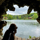 Sheltering in the Grotto