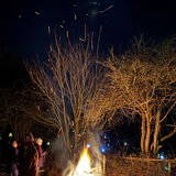 Slindon Wassail