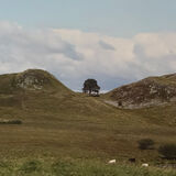 Sycamore Gap, Northumberland