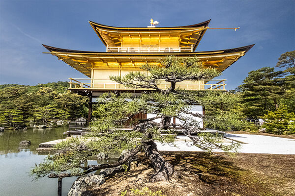 The Golden Temple, Kyoto Japan