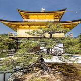 The Golden Temple, Kyoto Japan