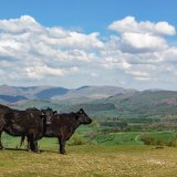 The Western Fells from Underbarrow Scar