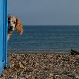 Think I've been spotted...