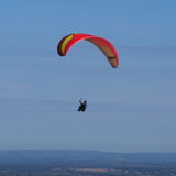 Vanessa Trownson - Up, Up and Away