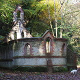 Vanessa Trownson - Bedham Church
