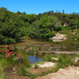 Vanessa Trownson - Hay Tor Granite Quarry