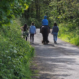 Vanessa Trownson - Country Lane