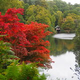 Vanessa Trownson - Dull Day at Winkworth