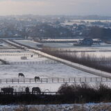 Vanessa Trownson - Highdown Snow