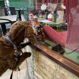 Vanessa Trownson - I'd like a Train Set please Santa