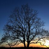 Vanessa Trownson - Into the Sun