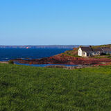 Vanessa Trownson - St Bride's Bay