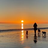 Vanessa Trownson - Sunset Stroll - 2nd (10 votes)