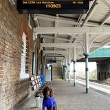 Vanessa Trownson - Trainspotter in his Anorak