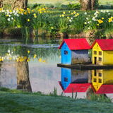 Vanessa Trownson - Waterfront Property