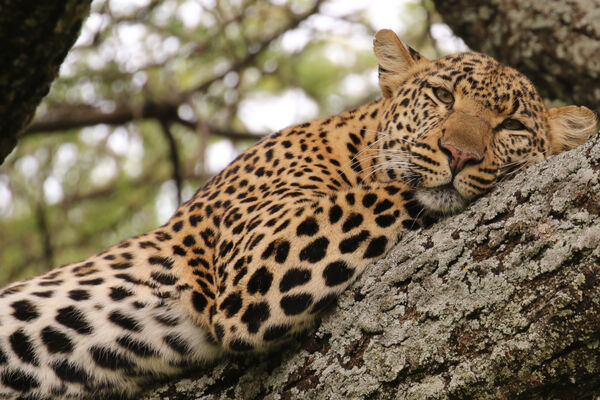 Well spotted