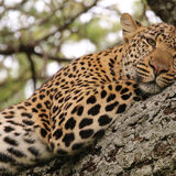 Well spotted