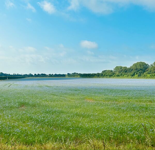 Across the fields below Highdown - Angmering