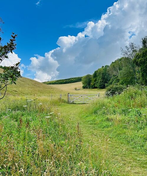 View from swanbourne lake towards the downs - Arundel