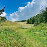 View from swanbourne lake towards the downs - Arundel