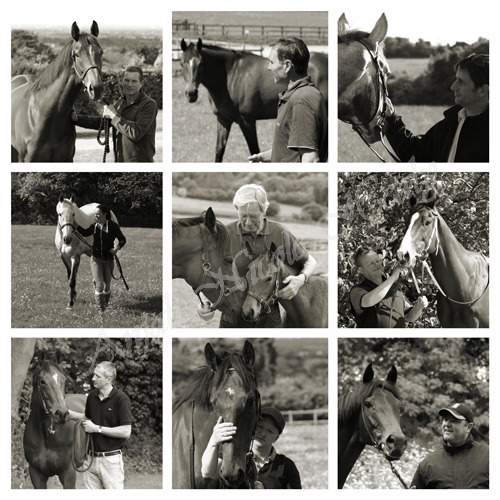 THE EPSOM RACEHORSE TRAINERS