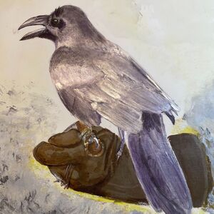 A man’s best friend - the Raven