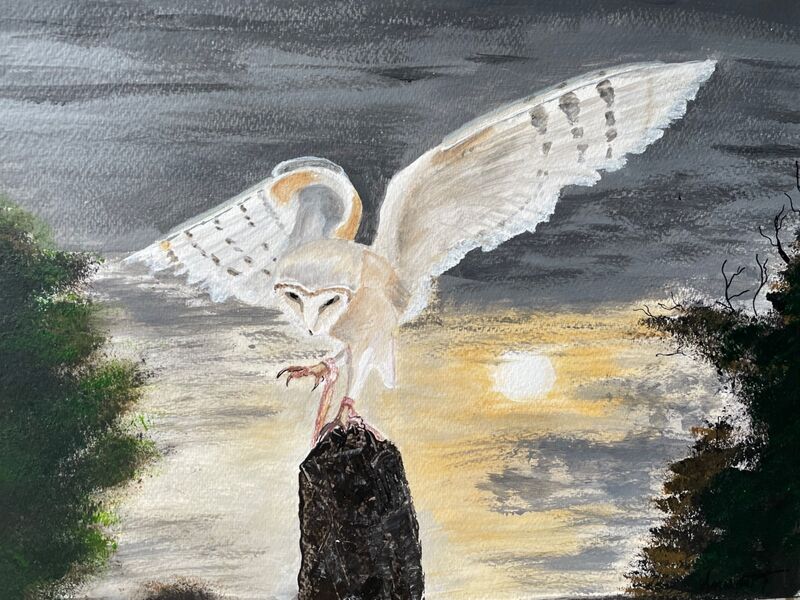 Owl over full moon