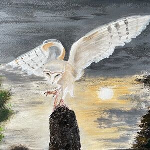 Barn owl over full moon